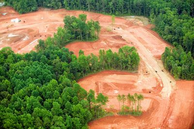 Professional Land Clean-Up